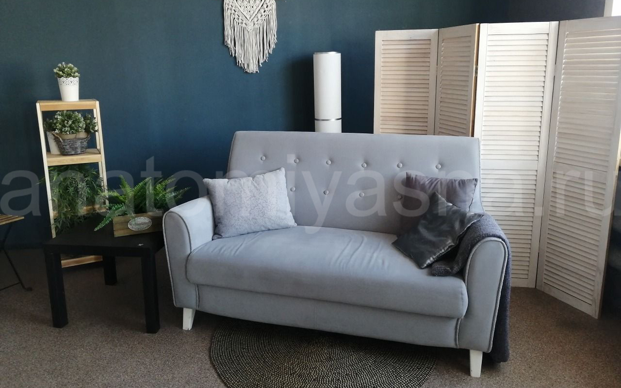 отзыв о Диван Flepers Lion Муссон